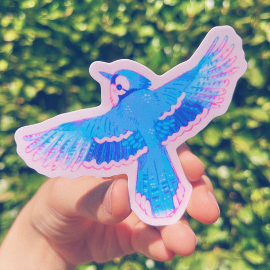 Blue Jay Sticker