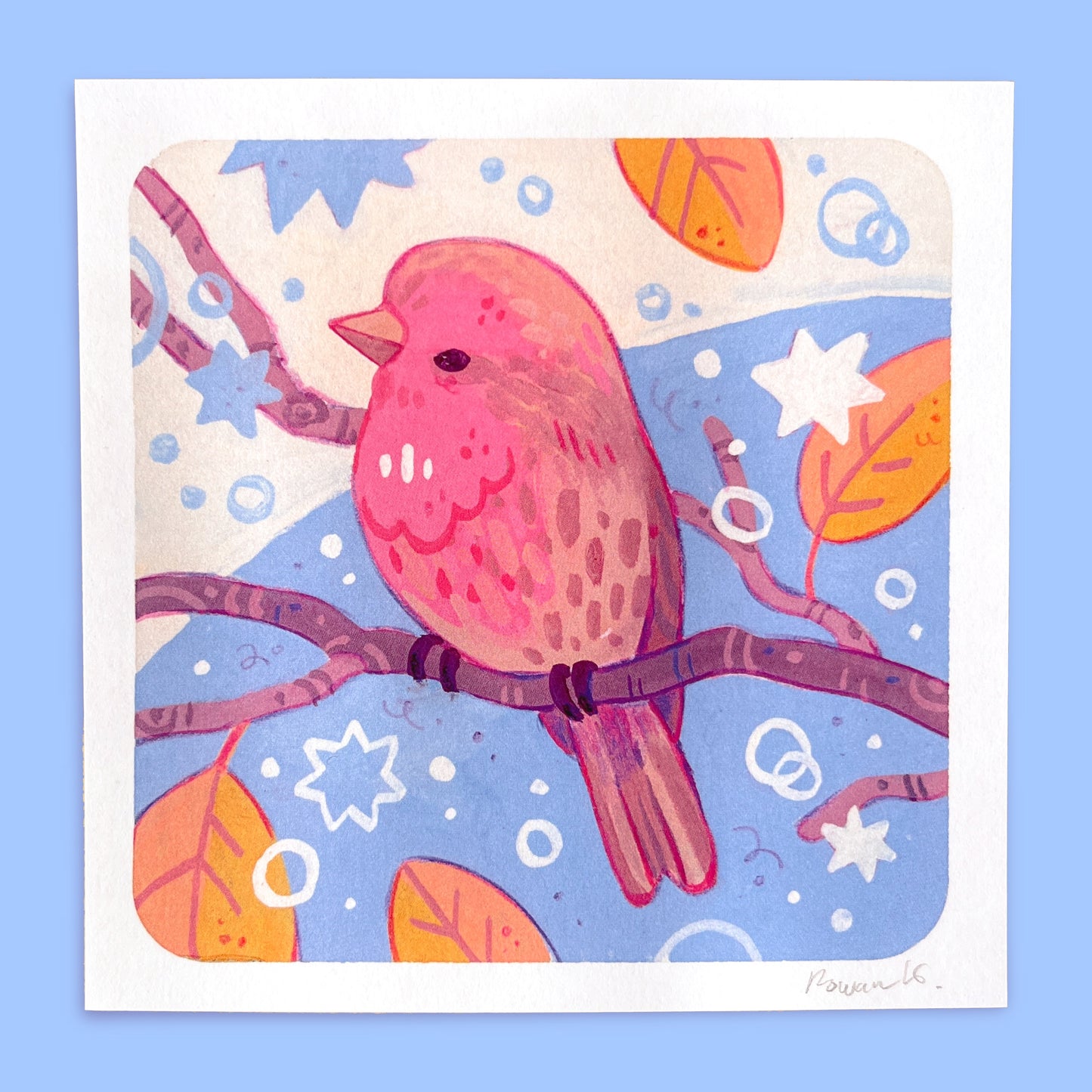 Backyard Bird 5x5 Prints