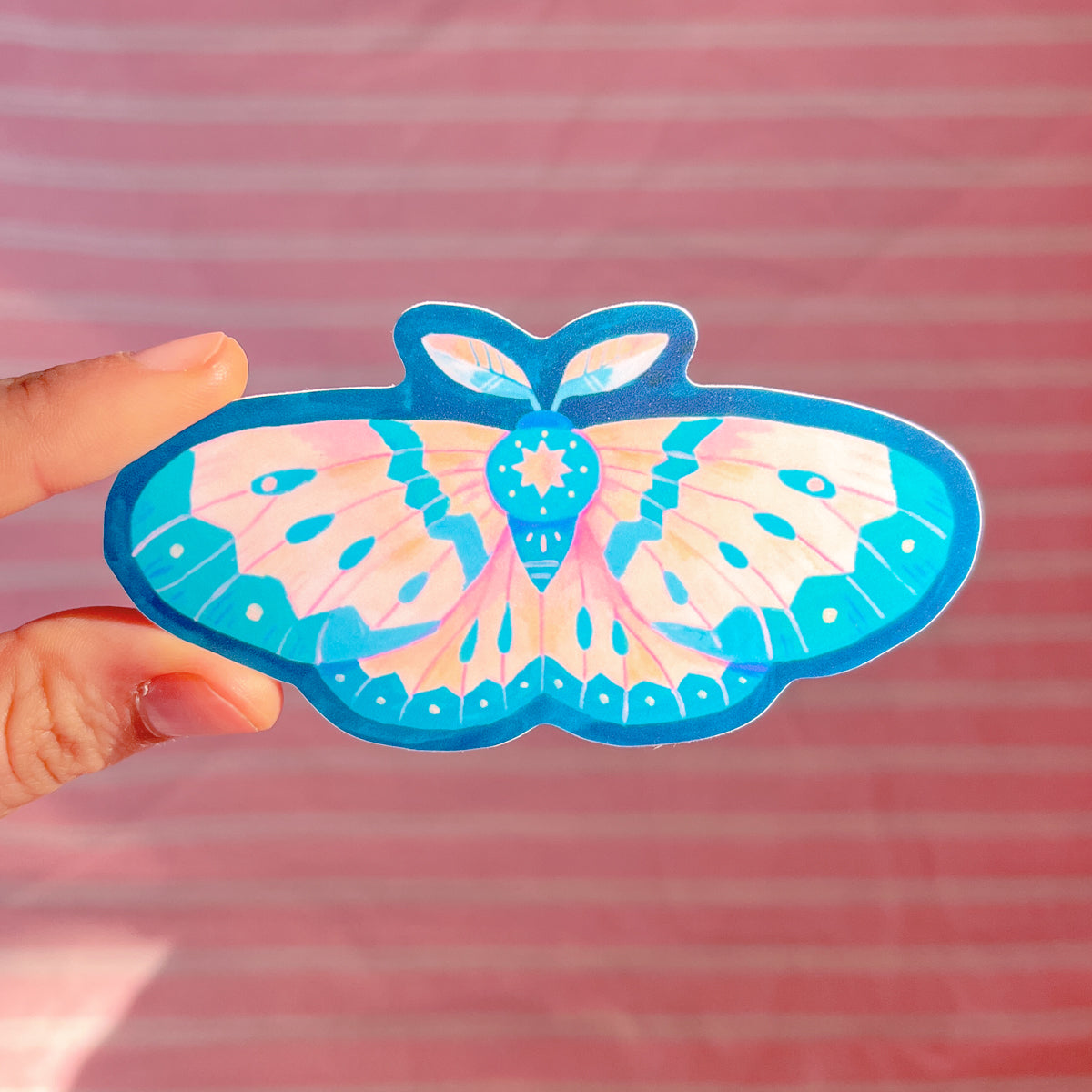 Pink and Blue Moth Sticker